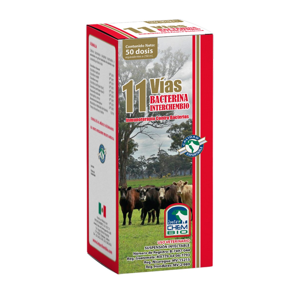 BACTERINA INTERCHEMBIO 11 VÍAS