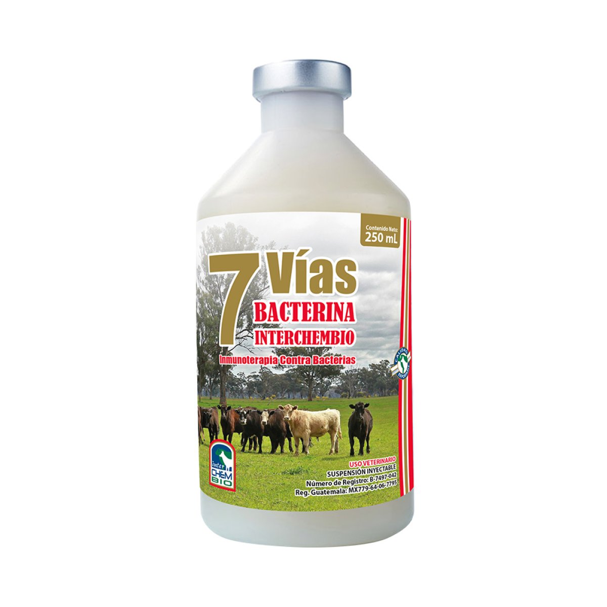 BACTERINA INTERCHEMBIO 7 VÍAS