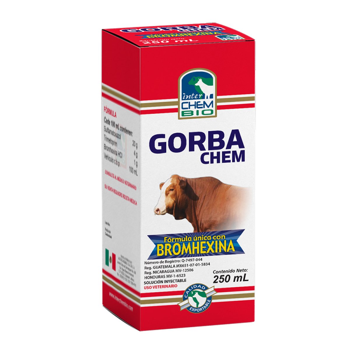 GORBACHEM