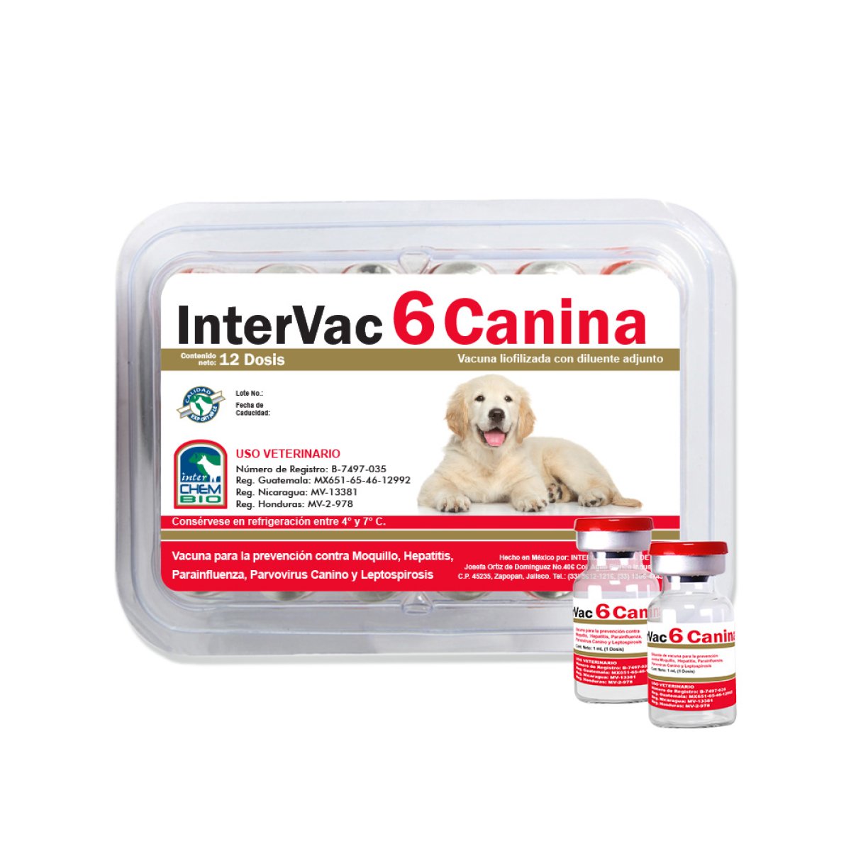 INTERVAC 6 CANINA