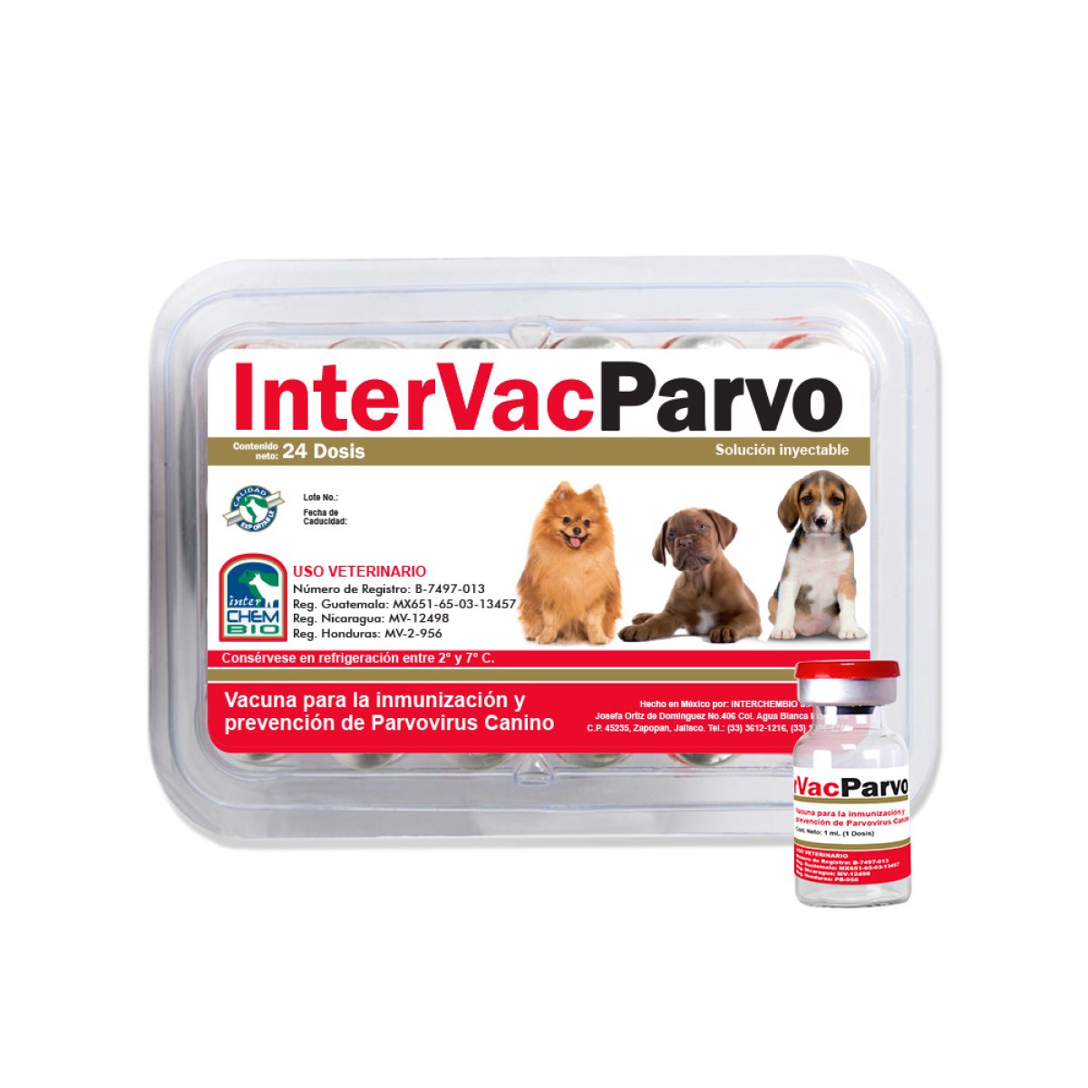 INTERVAC PARVO