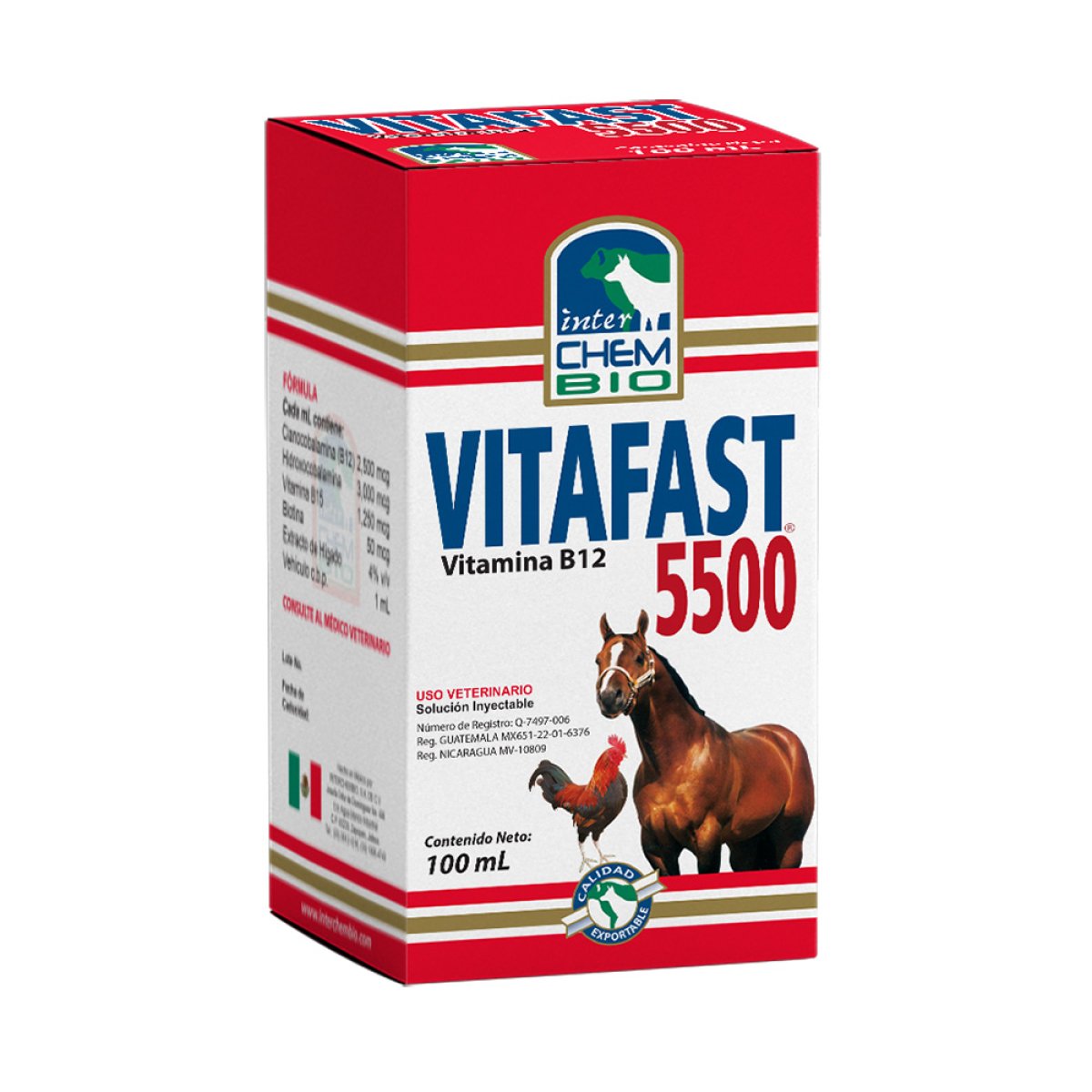 VITAFAST 5500